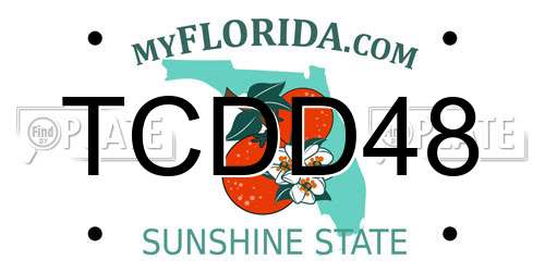 TCDD48 Florida License Plate