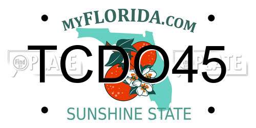 TCDO45 Florida License Plate