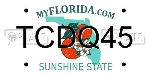 TCDQ45 Florida License Plate