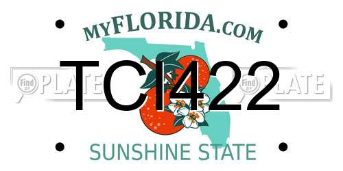 TCI422 Florida License Plate