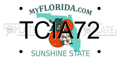 TCIA72 Florida License Plate