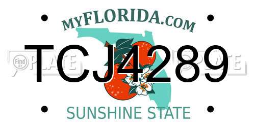 TCJ4289 Florida License Plate