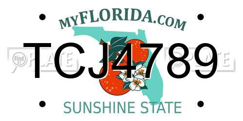 TCJ4789 Florida License Plate