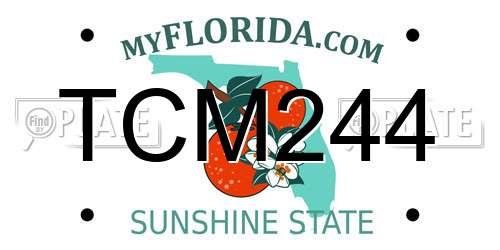 TCM244 Florida License Plate