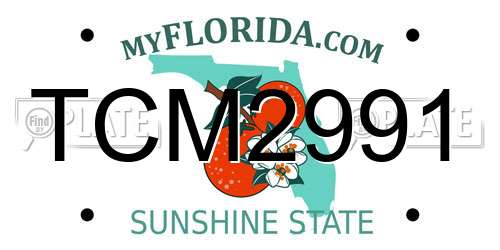 TCM2991 Florida License Plate