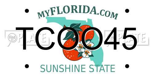 TCOO45 Florida License Plate
