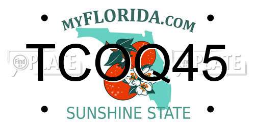 TCOQ45 Florida License Plate