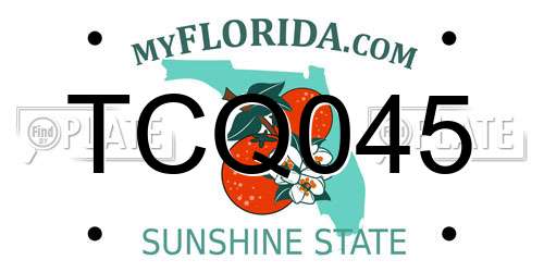 TCQ045 Florida License Plate