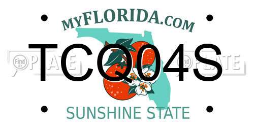 TCQ04S Florida License Plate