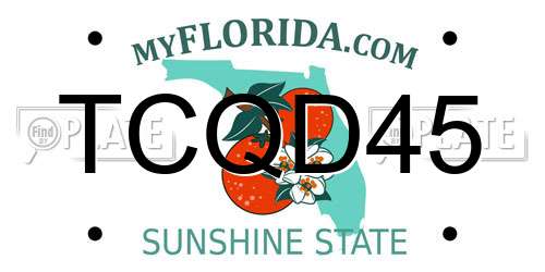 TCQD45 Florida License Plate
