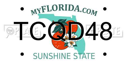 TCQD48 Florida License Plate