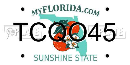 TCQO45 Florida License Plate