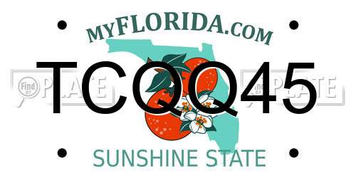 TCQQ45 Florida License Plate