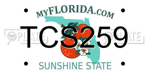 TCS259 Florida License Plate