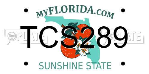 TCS289 Florida License Plate