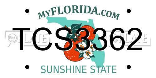 TCS3362 Florida License Plate