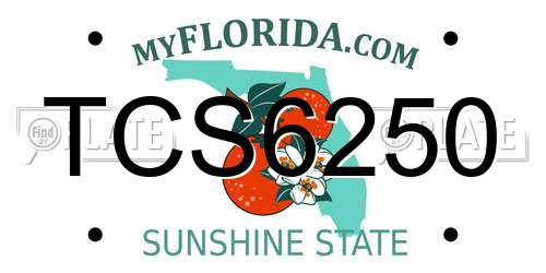 TCS6250 Florida License Plate