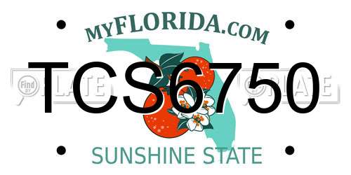 TCS6750 Florida License Plate