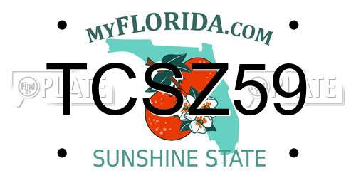 TCSZ59 Florida License Plate