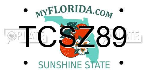 TCSZ89 Florida License Plate