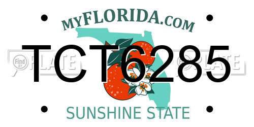 TCT6285 Florida License Plate