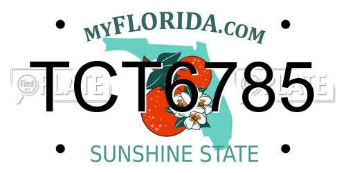TCT6785 Florida License Plate