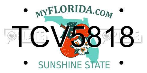 TCV5818 Florida License Plate