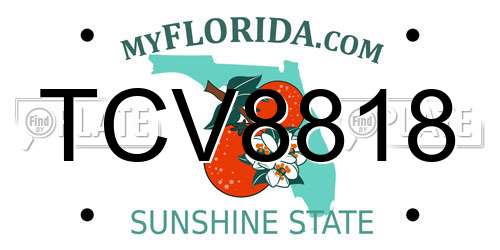 TCV8818 Florida License Plate