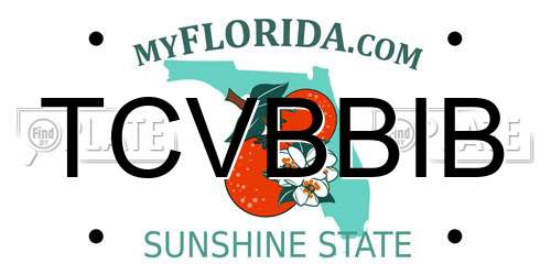 TCVBBIB Florida License Plate