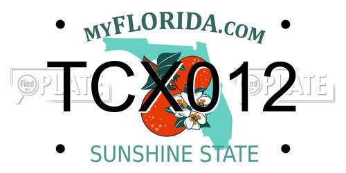 TCX012 Florida License Plate