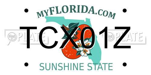 TCX01Z Florida License Plate