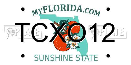 TCXO12 Florida License Plate