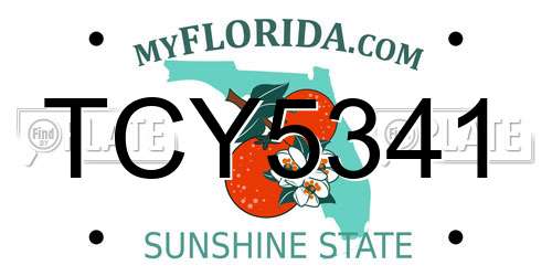 TCY5341 Florida License Plate