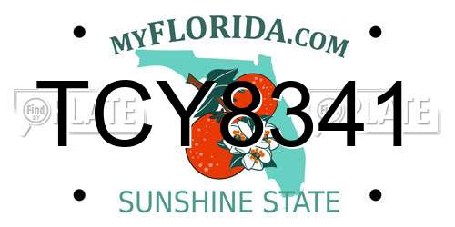 TCY8341 Florida License Plate