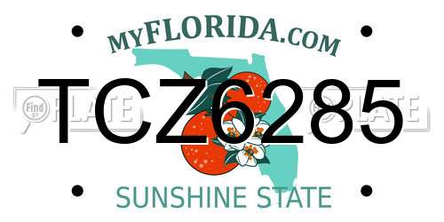 TCZ6285 Florida License Plate