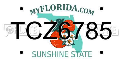 TCZ6785 Florida License Plate