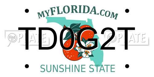 TD0G2T Florida License Plate