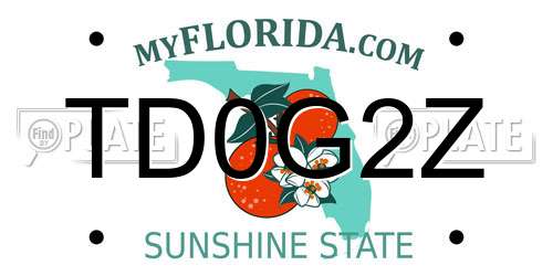 TD0G2Z Florida License Plate