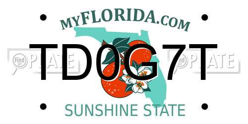 TD0G7T Florida License Plate