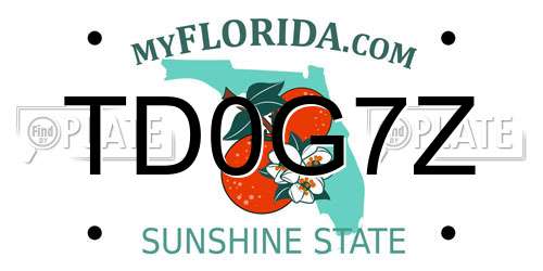 TD0G7Z Florida License Plate