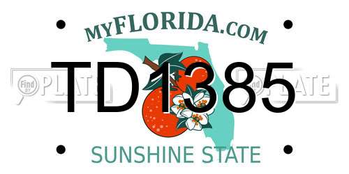 TD1385 Florida License Plate