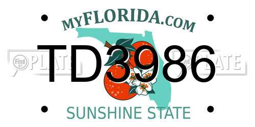 TD3986 Florida License Plate
