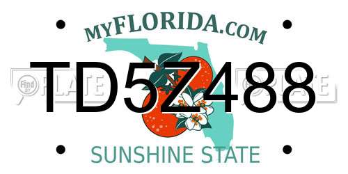 TD5Z488 Florida License Plate