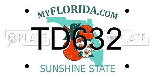 TD632 Florida License Plate