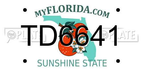 TD6641 Florida License Plate