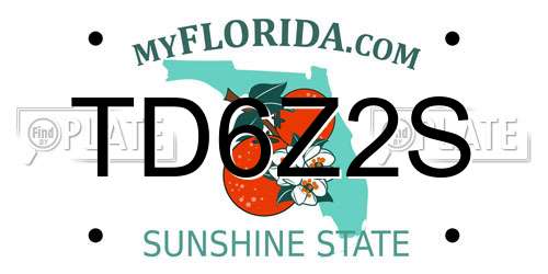TD6Z2S Florida License Plate