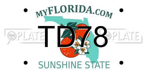 TD78 Florida License Plate