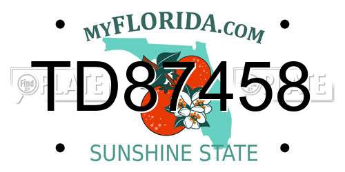 TD87458 Florida License Plate