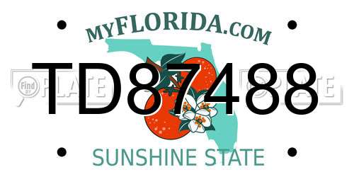 TD87488 Florida License Plate