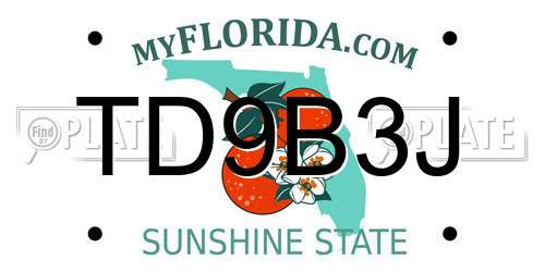 TD9B3J Florida License Plate